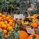 Noten cómo la imagen del Pixel 2 se ve más rica en colores y al mantener mejor la profundidad (haz clic para agrandar la imagen).